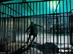 24/25  - Suburra (2015) - FOTOGALERIE - FILM, Z NATÁČENÍ
