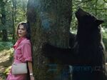 1/19  - MEDVĚD NA KOKSU (2023) - FOTOGALERIE Z FILMU © Universal Pictures