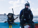 7/16  - Méďa 2 (2015) - FOTOGALERIE - FILM