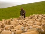 29/39  - Daleko od hlučicího davu (2015) - FOTOGALERIE - FILM