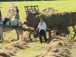 33/39  - Daleko od hlučicího davu (2015) - FOTOGALERIE - FILM