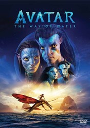 Obrázek pro článek Kompletní přehled novinek na DVD a BLU-RAY - Červenec 2023