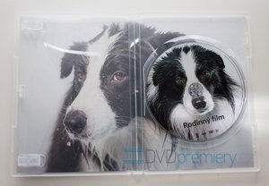 Rodinný film (DVD)