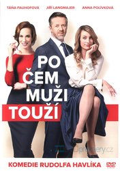 Po čem muži touží (DVD)