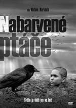 Obrázek pro článek Nabarvené ptáče (2019) - FOTOGALERIE Z FILMU