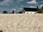 40/44  - Polednice (2016) - FOTOGALERIE - FILM, Z NATÁČENÍ